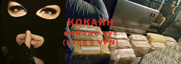 мет Кемь